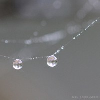 /album/galerie-photos/frida-dumont-img-4770-jpg/